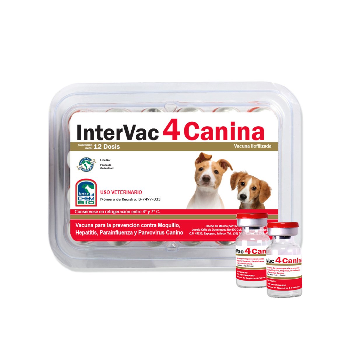 INTERVAC 4 CANINA